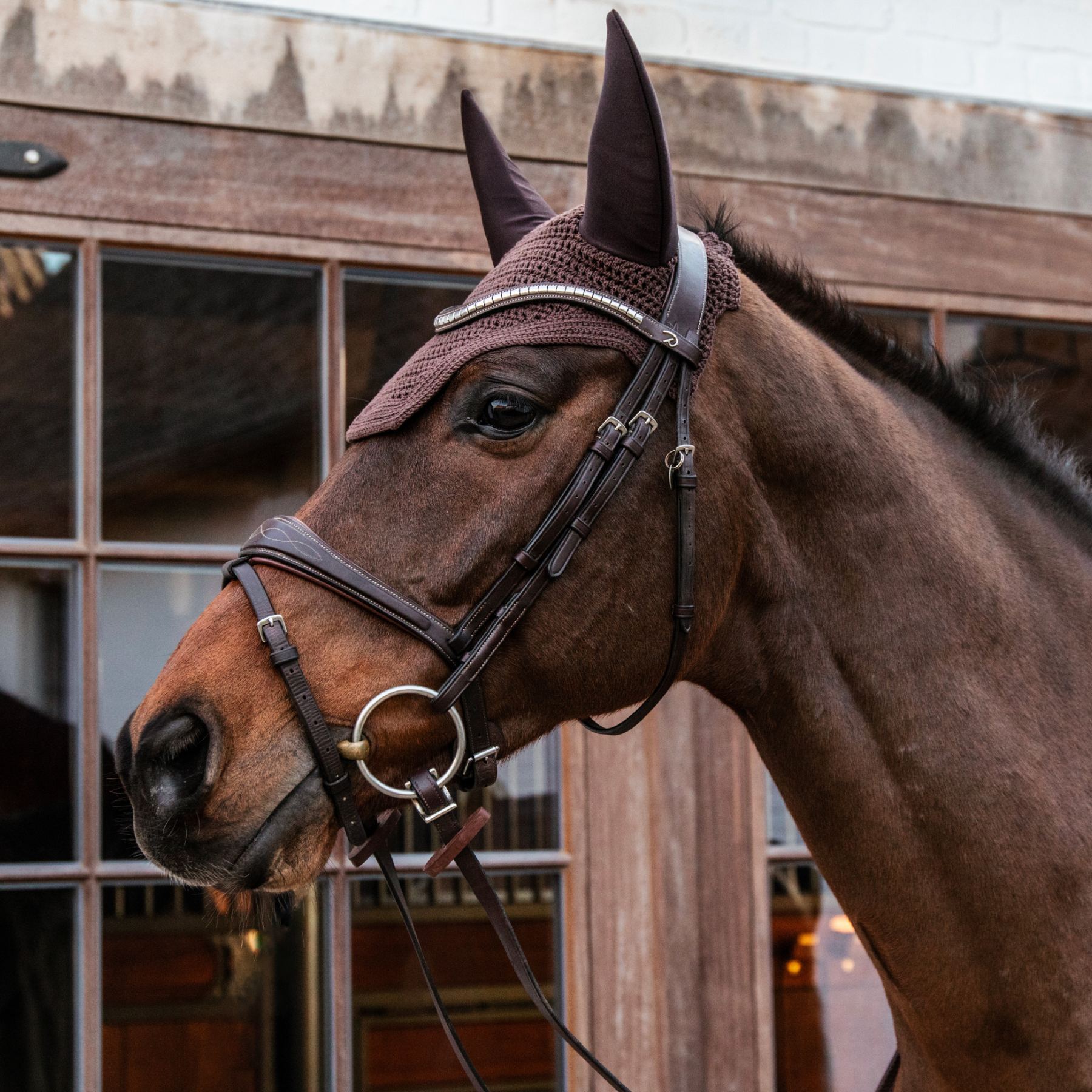 Kentucky Horsewear Fly Veil Wellington Soundless, Brown