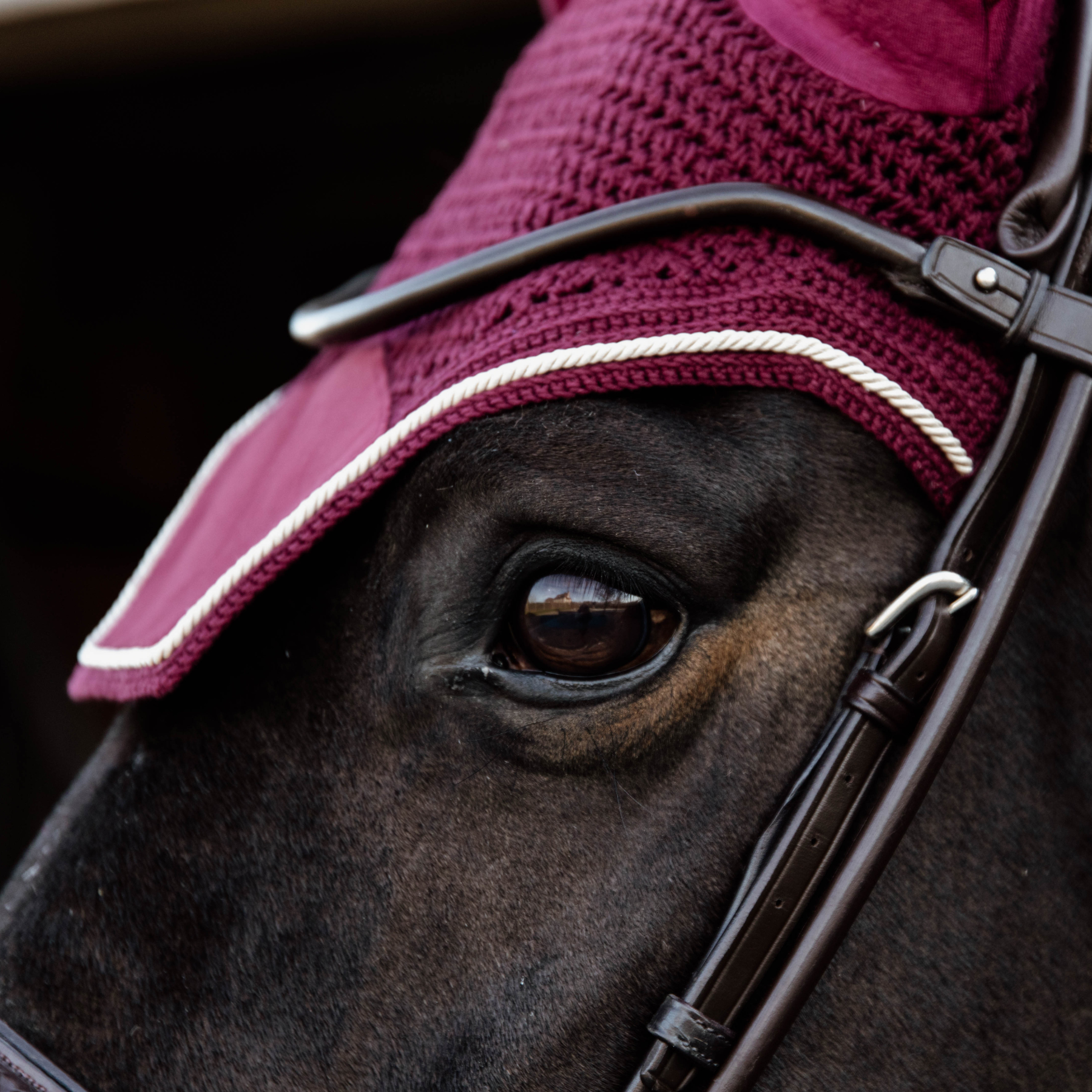 Kentucky Horsewear Fly Veil Wellington Velvet, Bordeaux