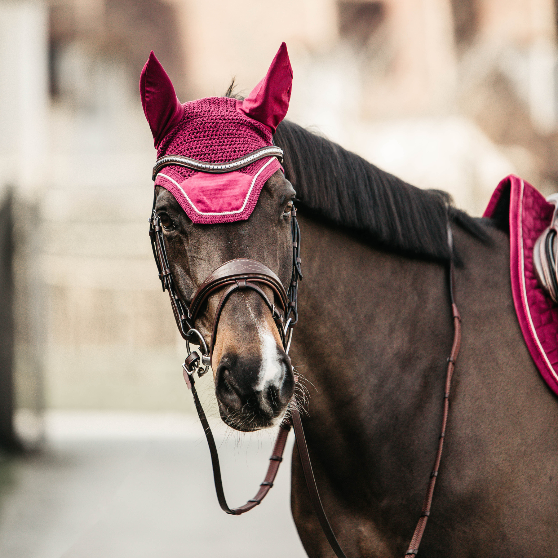 Kentucky Horsewear Fly Veil Wellington Velvet, Fuchsia