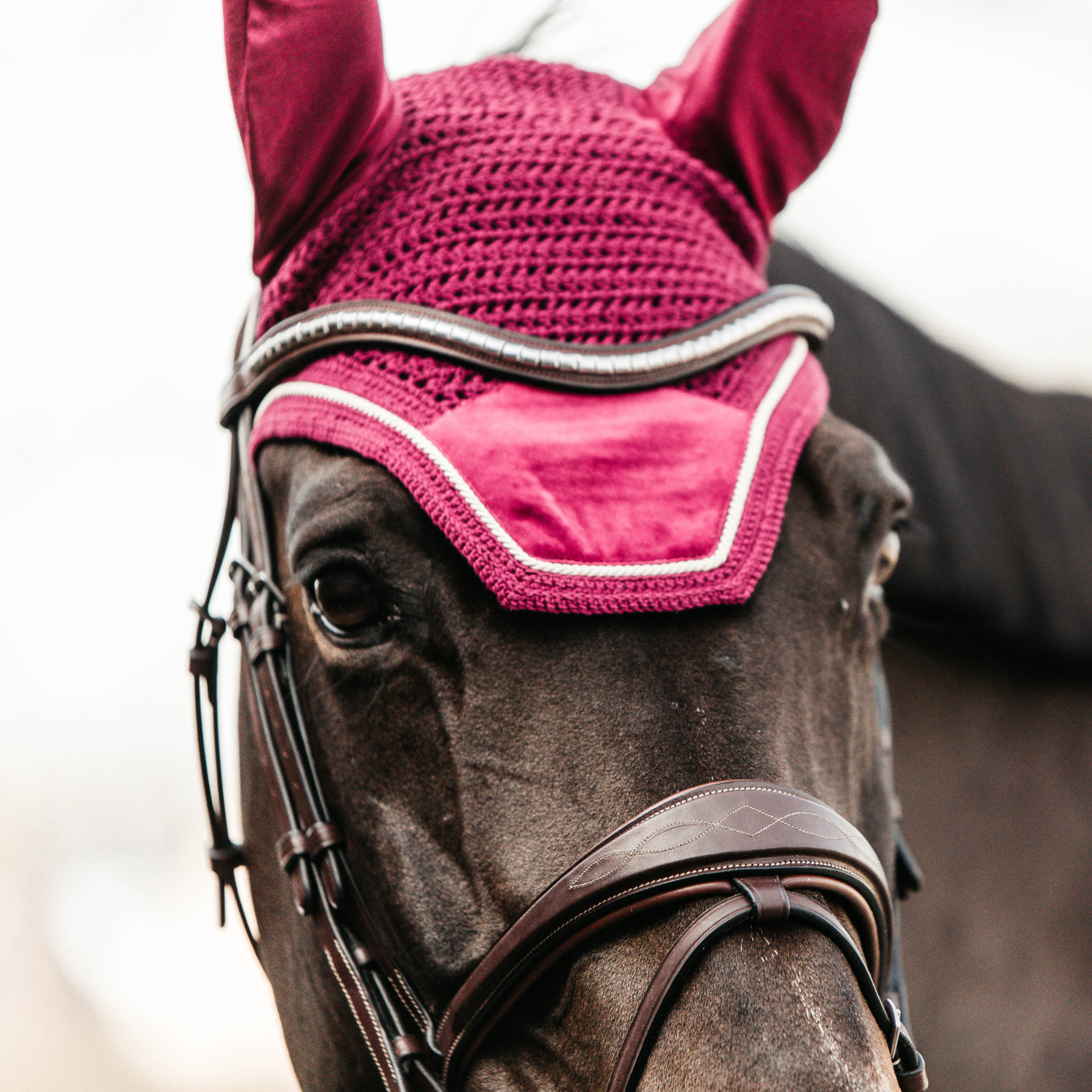 Kentucky Horsewear Fly Veil Wellington Velvet, Fuchsia