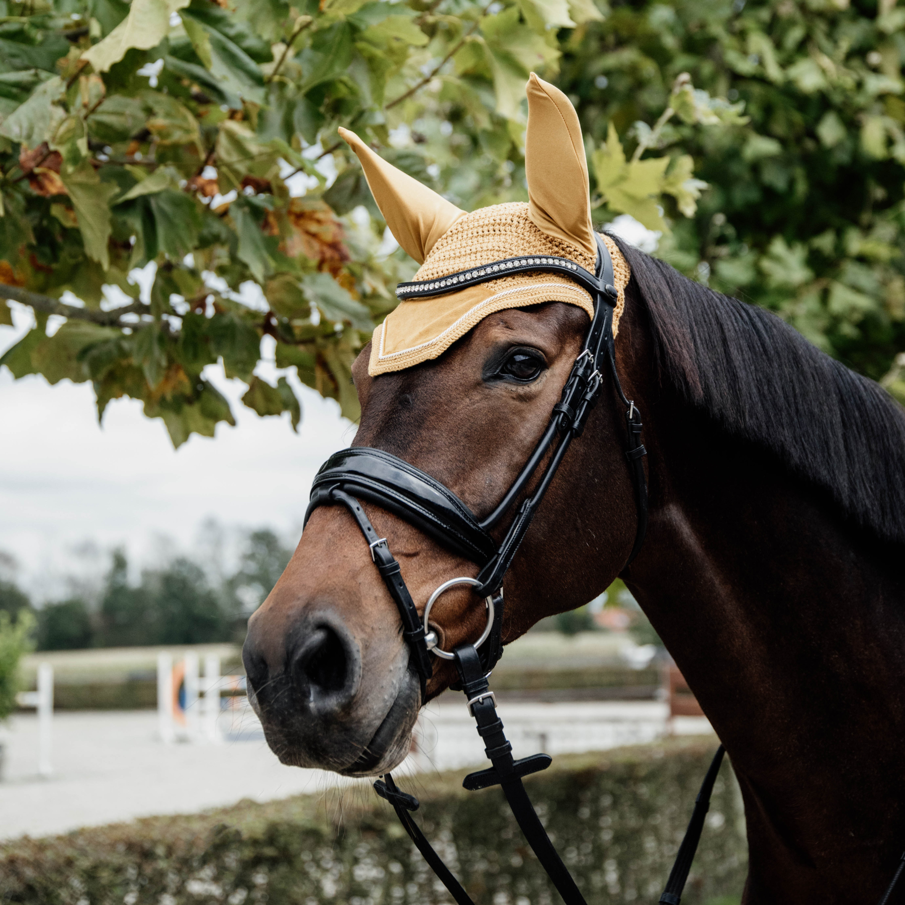 Kentucky Horsewear Fly Veil Wellington Velvet, Mustard