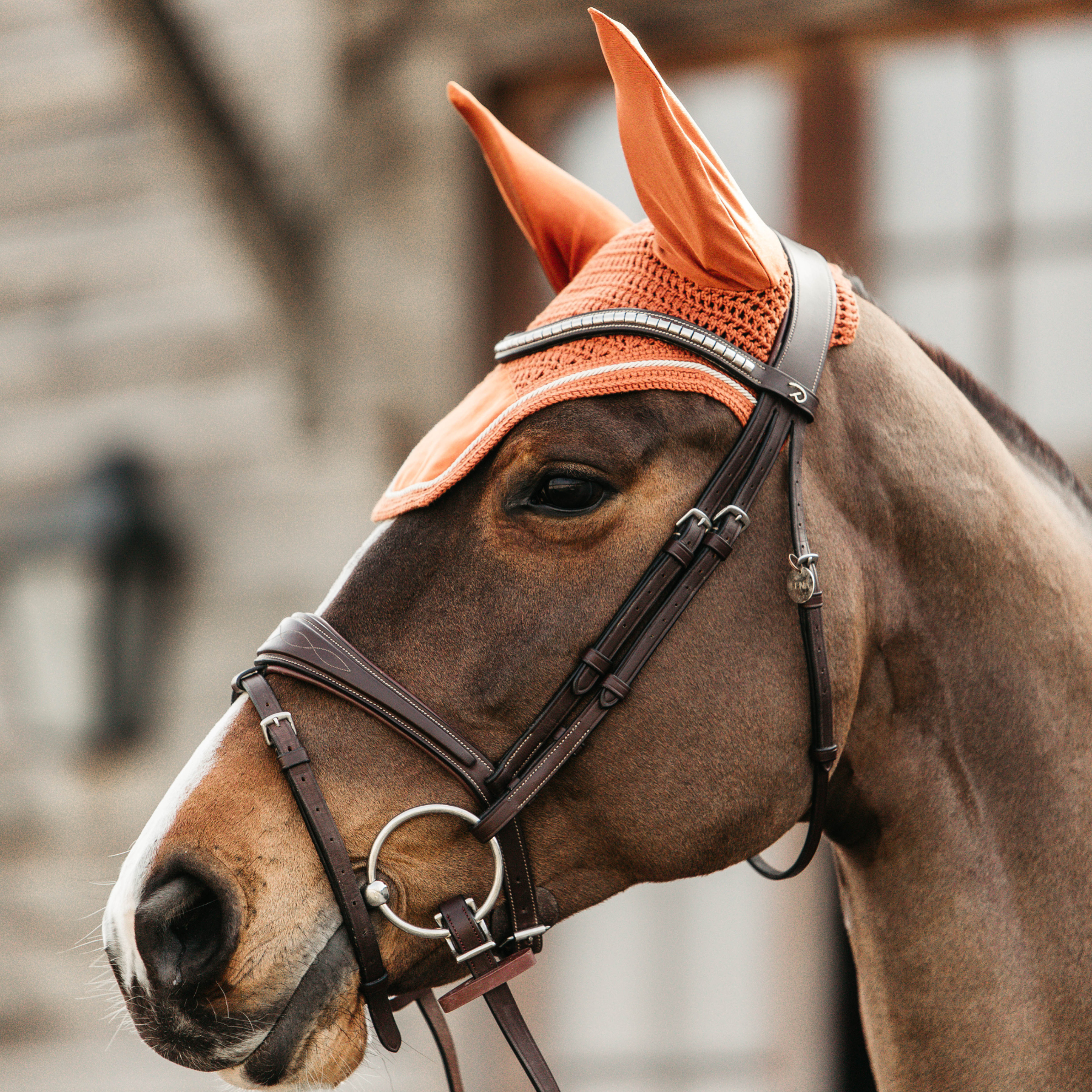 Kentucky Horsewear Fly Veil Wellington Velvet, Orange