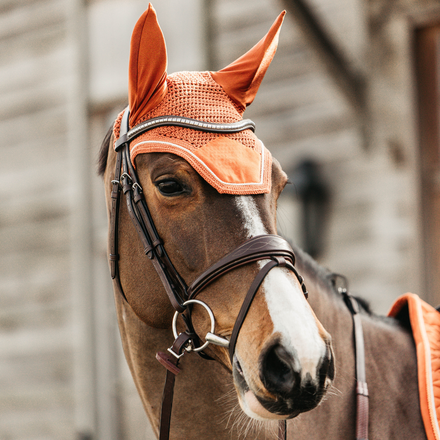 Kentucky Horsewear Fly Veil Wellington Velvet, Orange