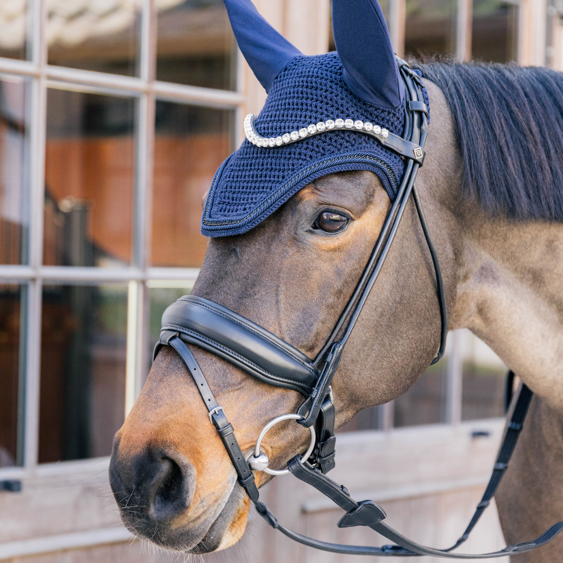 Kentucky Horsewear Fly Veil Wellington with Metal Chain, Navy