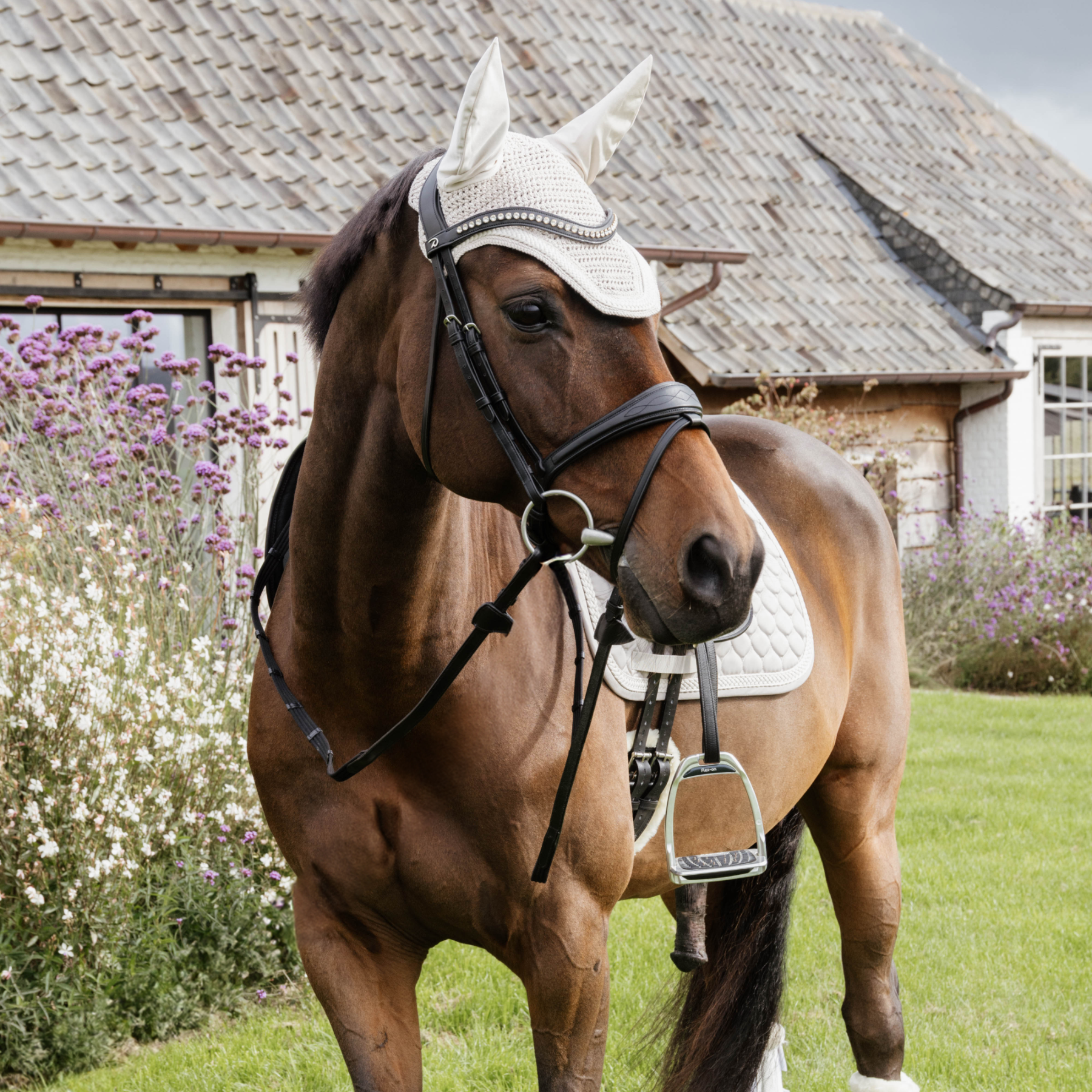 Kentucky Horsewear Fly Veil Wellington with Plaited Cord, Beige