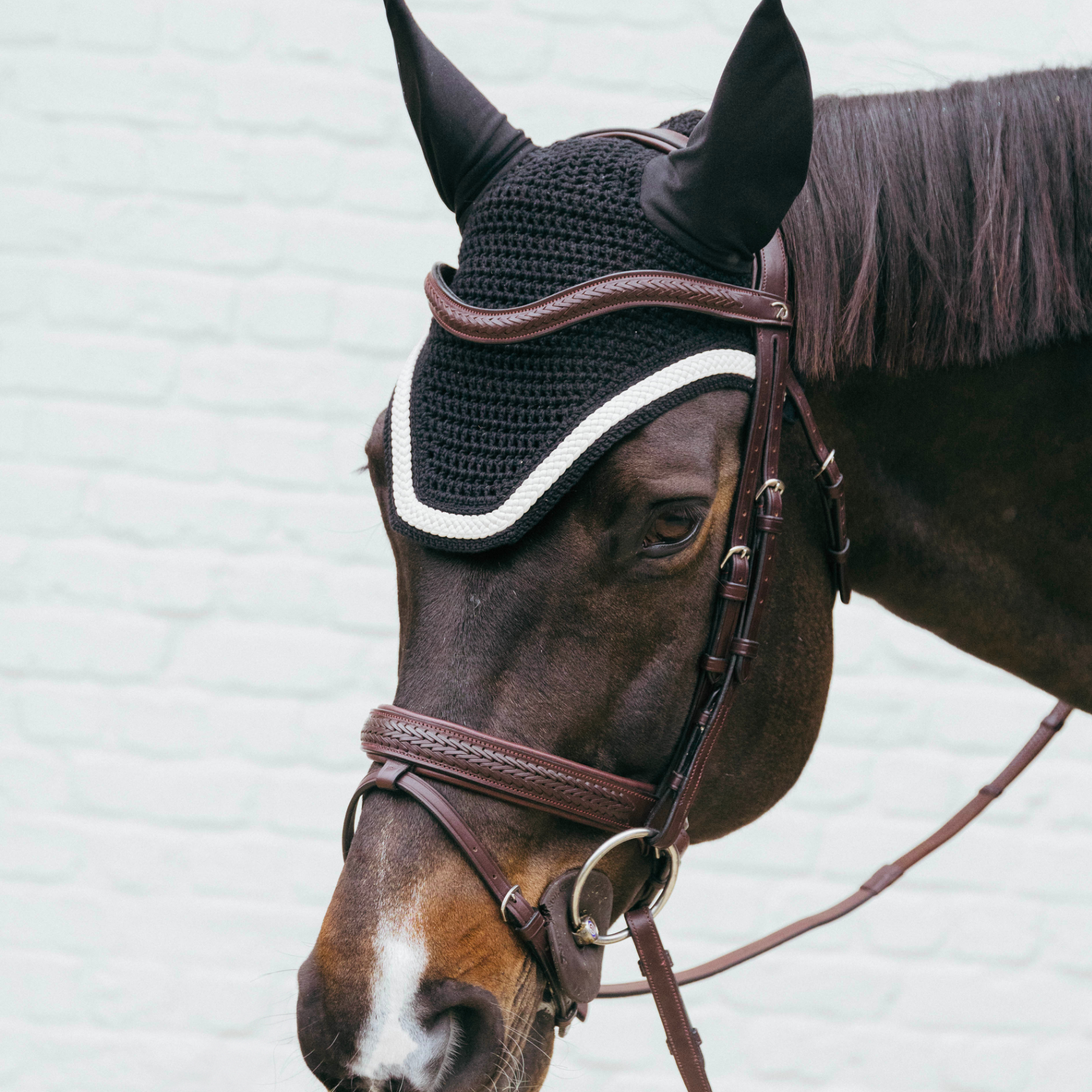 Kentucky Horsewear Fly Veil Wellington with Plaited Cord, Black
