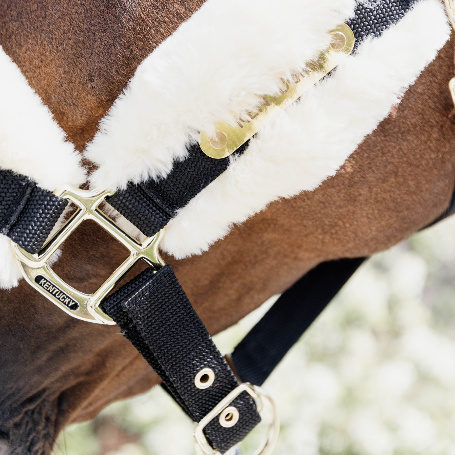 Kentucky Horsewear Nylon Sheepskin Halter Soft, Natural
