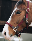Kentucky Horsewear Plaited Nylon Halter, Bordeaux