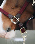 Kentucky Horsewear Plaited Nylon Halter, Bordeaux