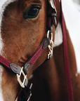 Kentucky Horsewear Plaited Nylon Halter, Bordeaux