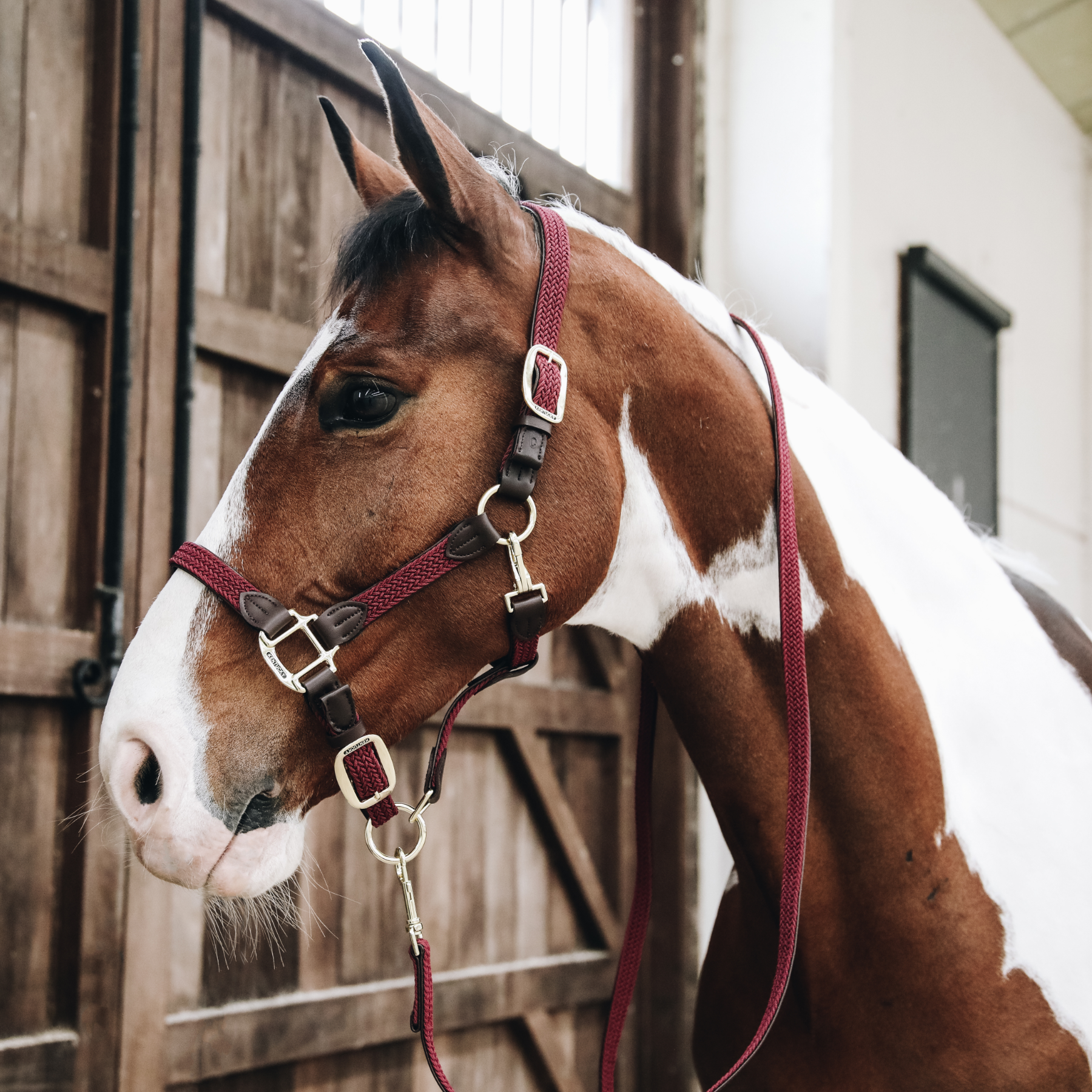 Kentucky Horsewear Plaited Nylon Halter, Bordeaux