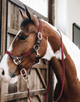 Kentucky Horsewear Plaited Nylon Halter, Bordeaux