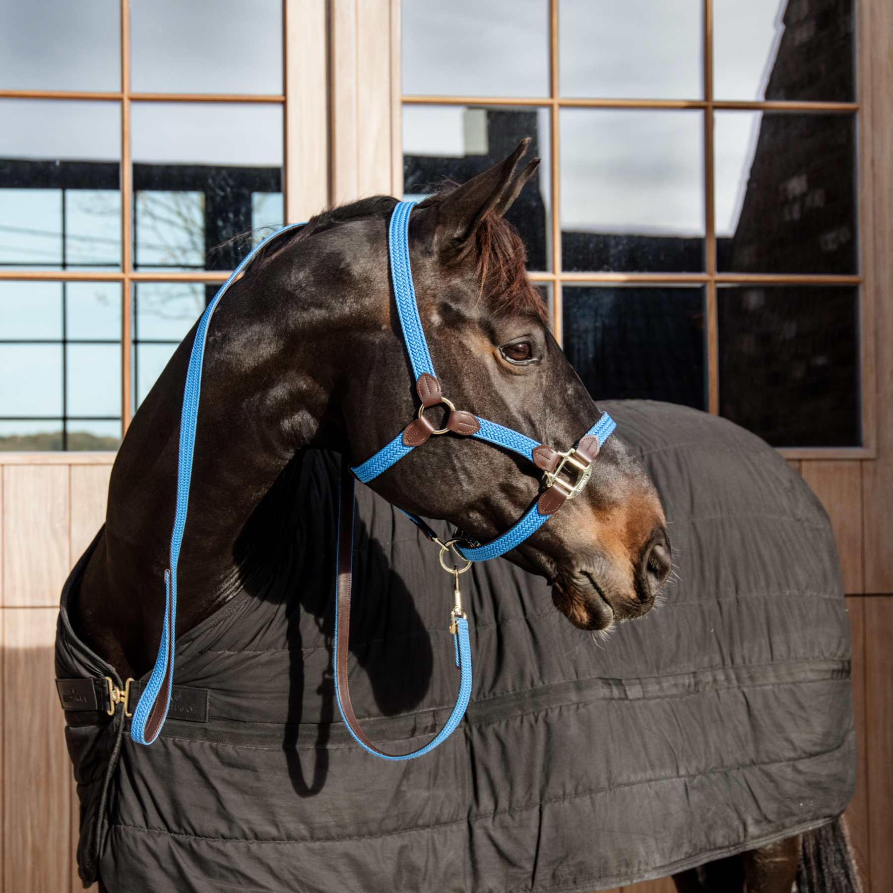 Kentucky Horsewear Plaited Nylon Horse Lead, Light Blue