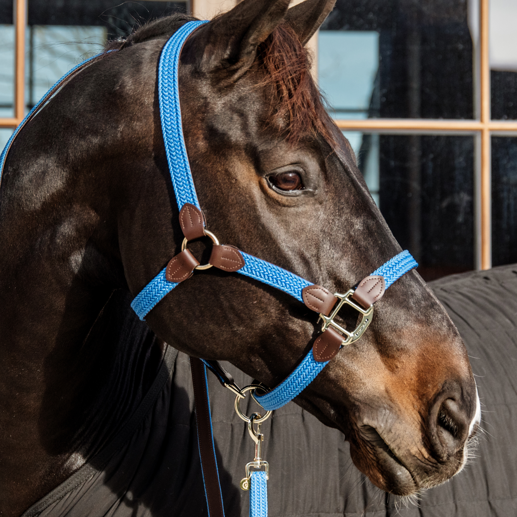 Kentucky Horsewear Plaited Nylon Halter, Light Blue