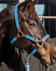 Kentucky Horsewear Plaited Nylon Halter, Light Blue