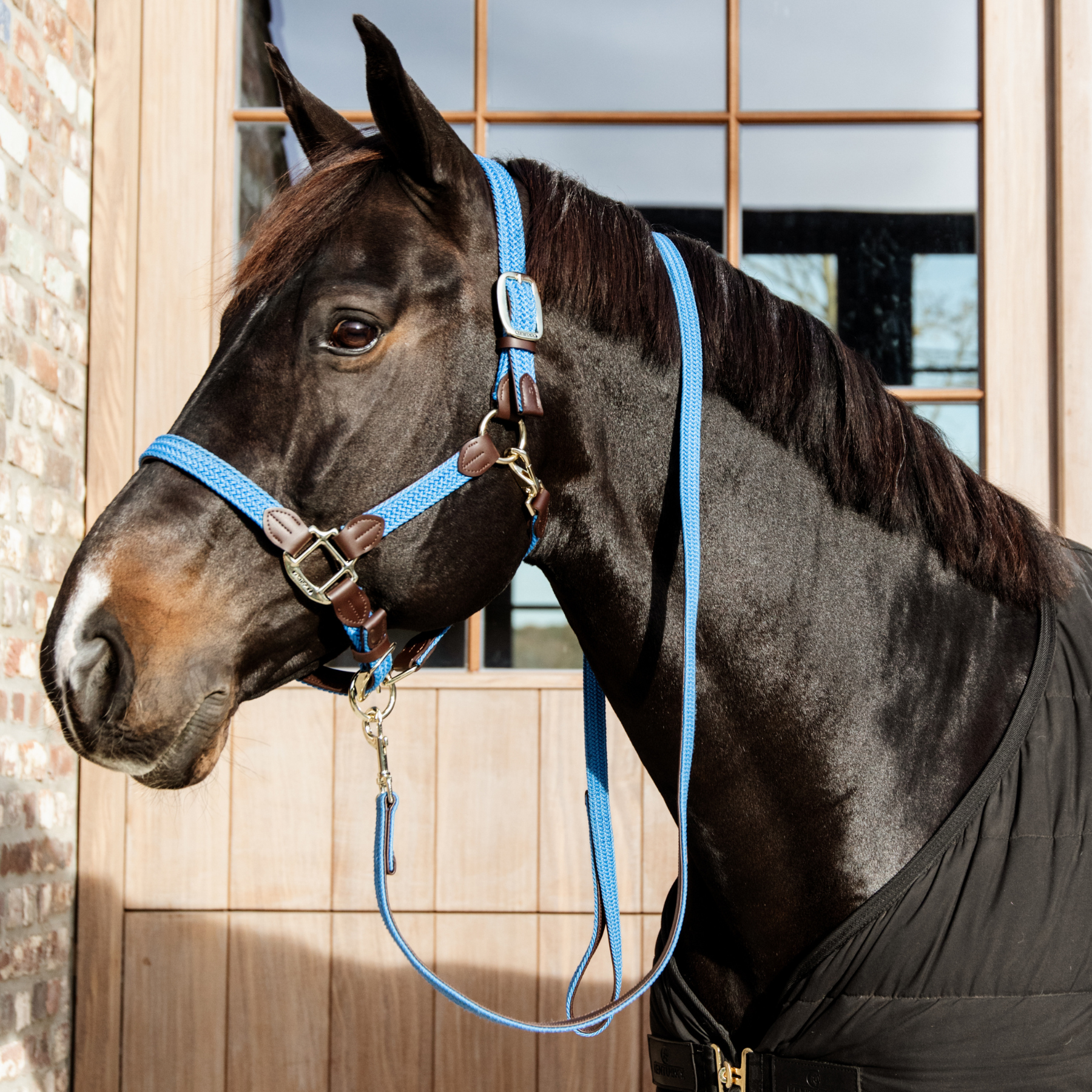 Kentucky Horsewear Plaited Nylon Halter, Light Blue