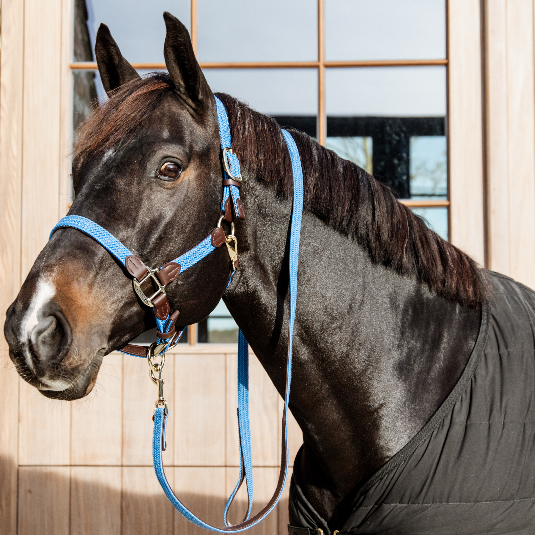 Kentucky Horsewear Plaited Nylon Horse Lead, Light Blue