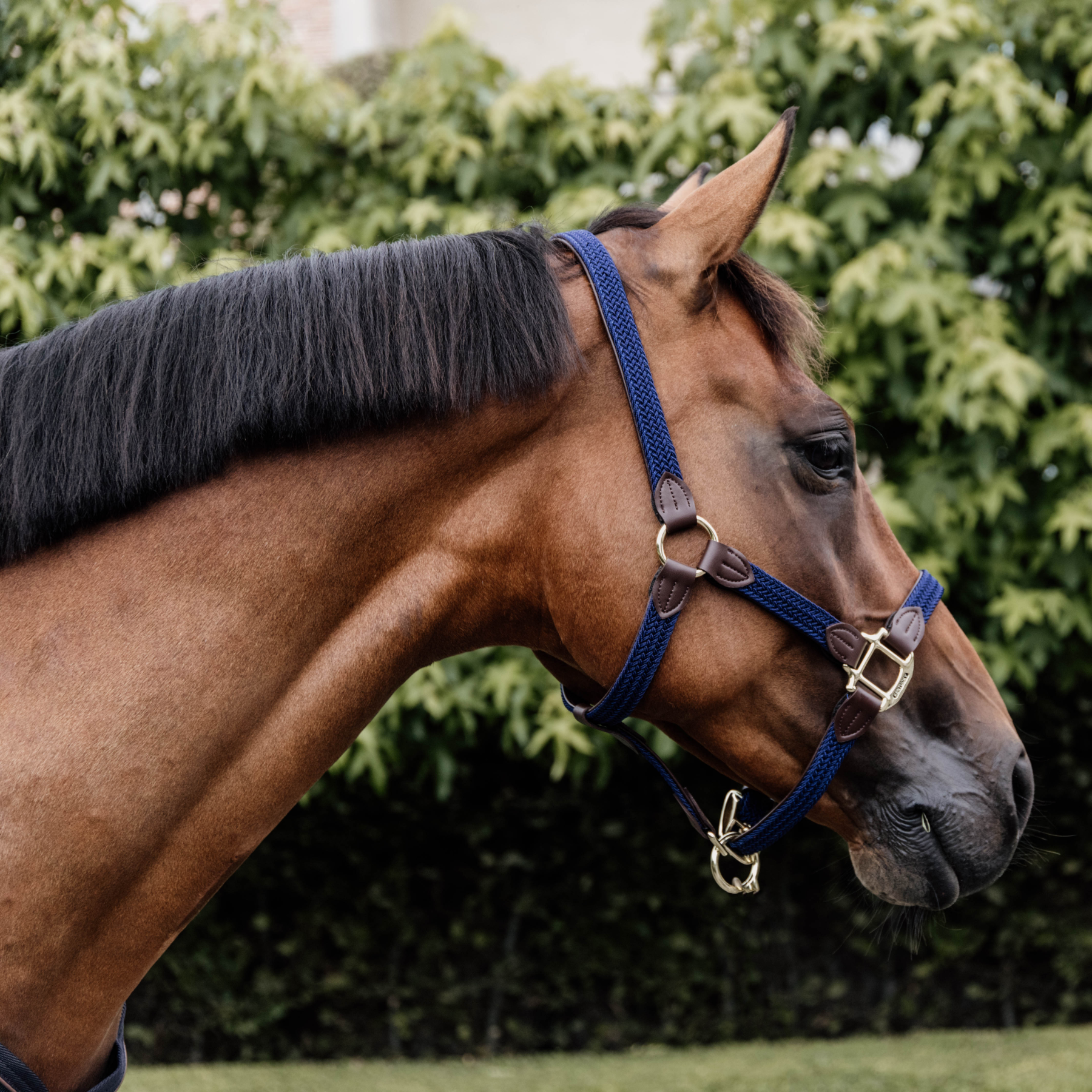 Kentucky Horsewear Plaited Nylon Halter, Navy