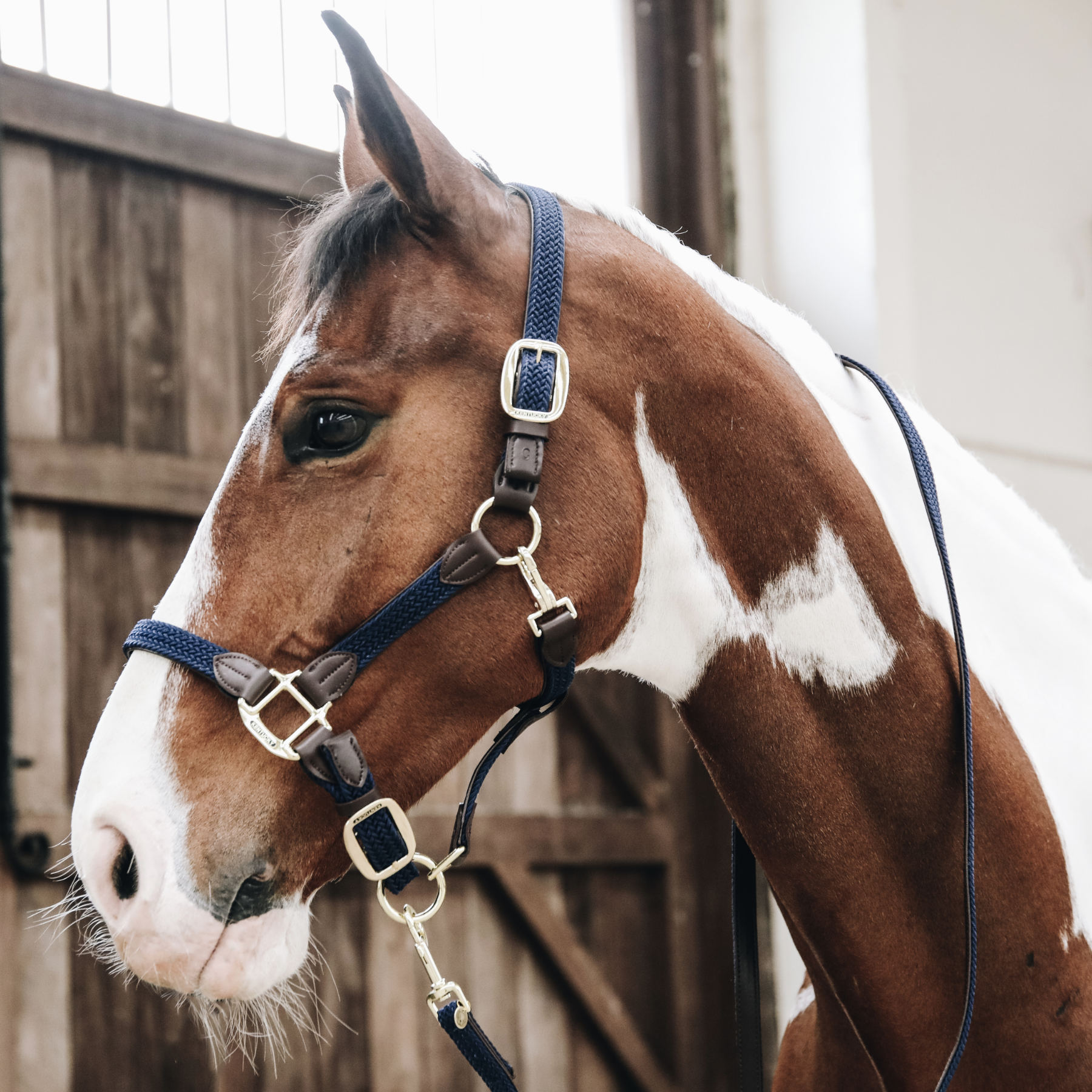 Kentucky Horsewear Plaited Nylon Horse Lead, Navy
