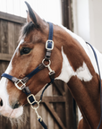 Kentucky Horsewear Plaited Nylon Horse Lead, Navy