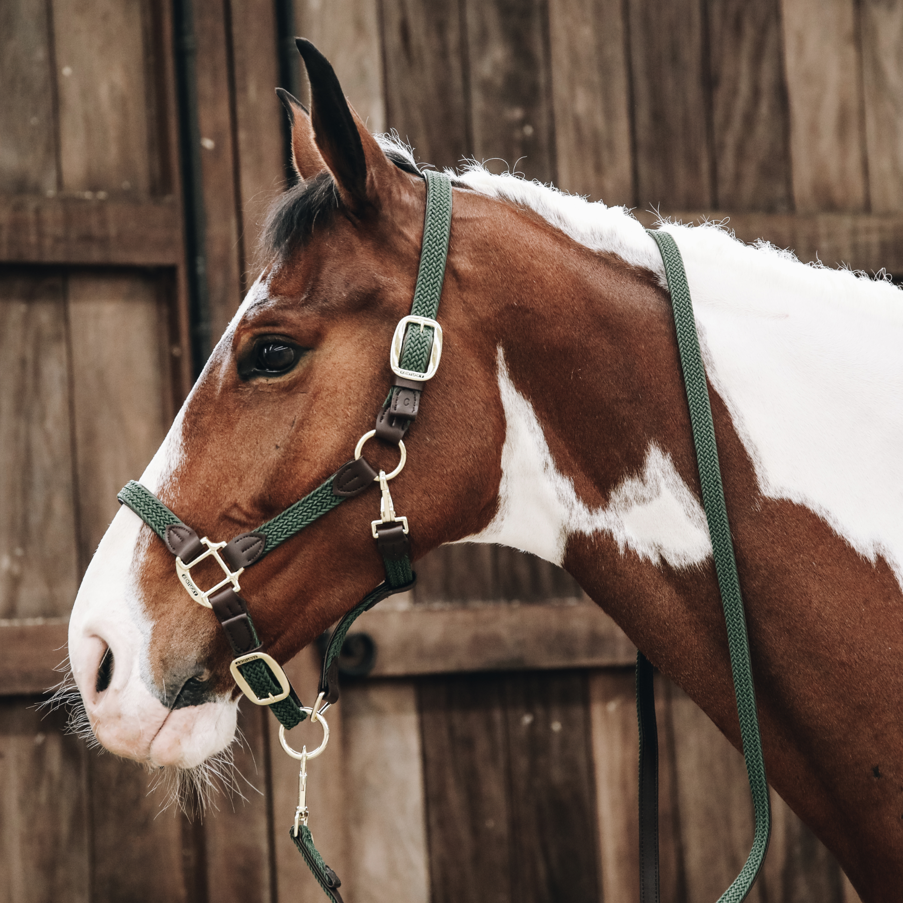 Kentucky Horsewear Plaited Nylon Horse Lead, Olive