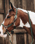 Kentucky Horsewear Plaited Nylon Horse Lead, Olive