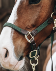Kentucky Horsewear Plaited Nylon Horse Lead, Olive