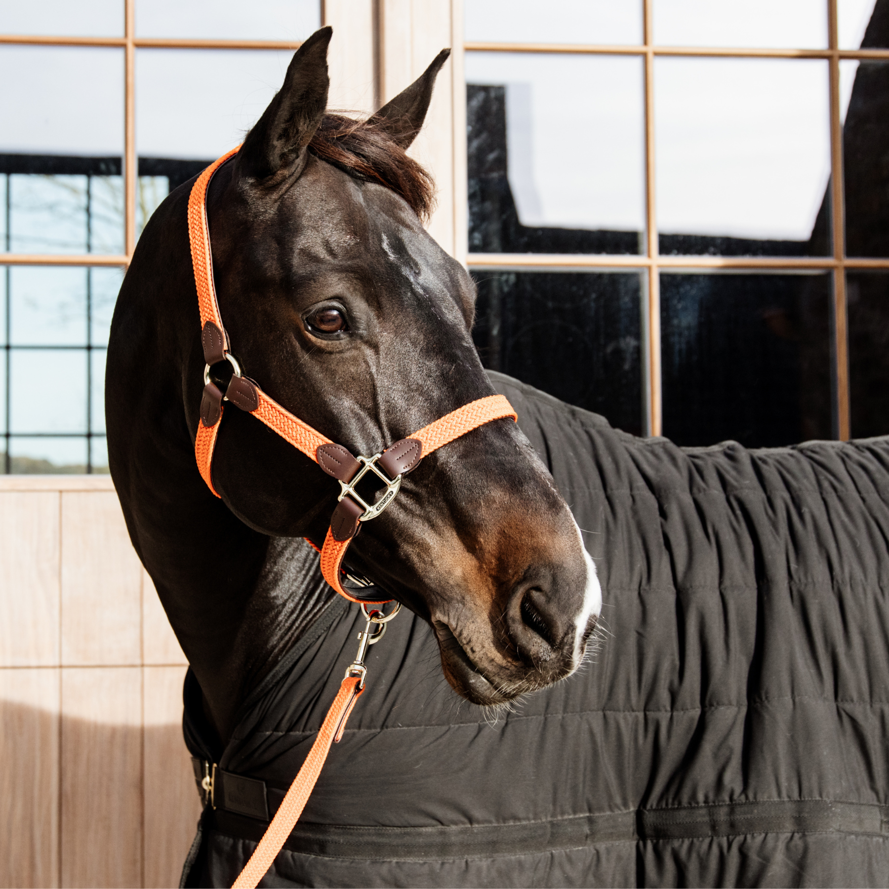 Kentucky Horsewear Plaited Nylon Horse Lead, Orange