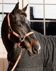 Kentucky Horsewear Plaited Nylon Horse Lead, Orange