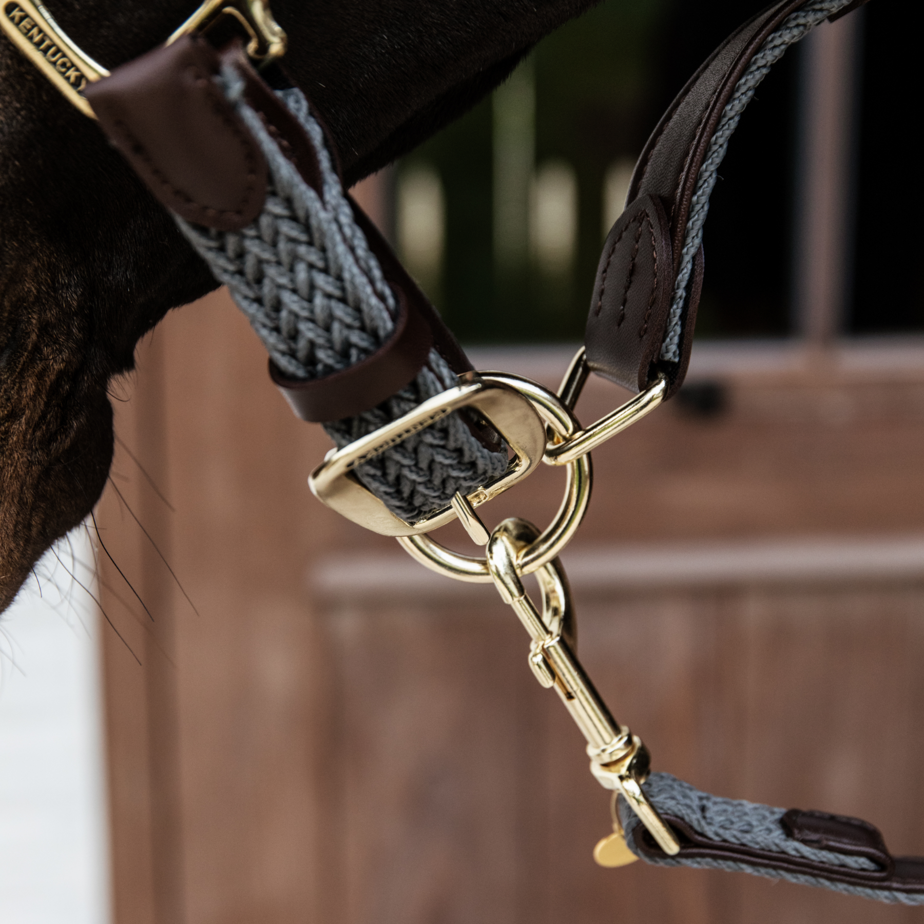 Kentucky Horsewear Plaited Nylon Horse Lead, Gray