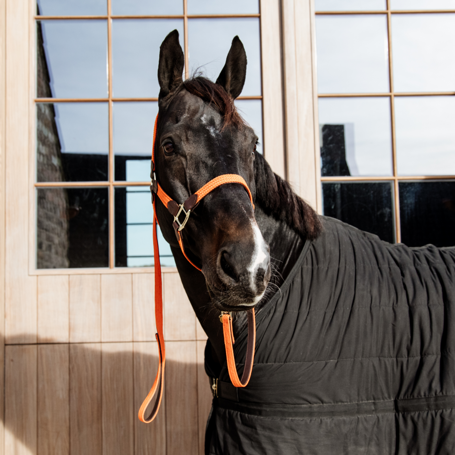 Kentucky Horsewear Plaited Nylon Horse Lead, Orange