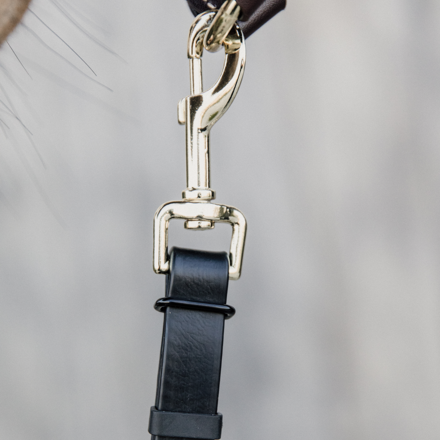 Kentucky Horsewear Presentation Lead