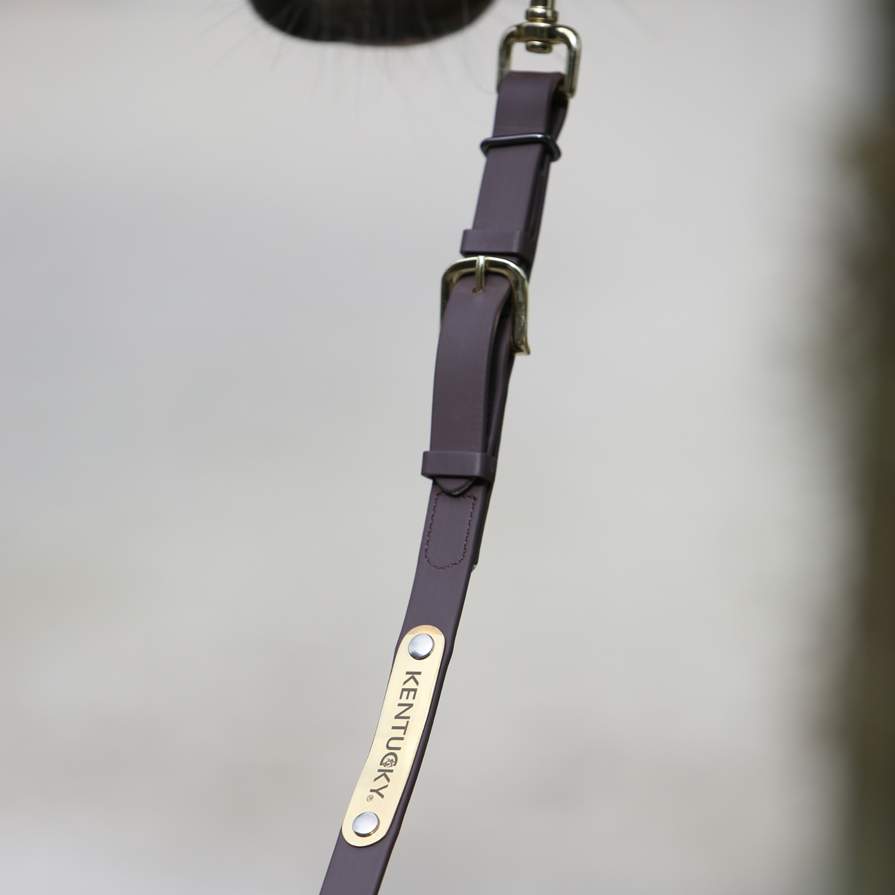 Kentucky Horsewear Presentation Lead
