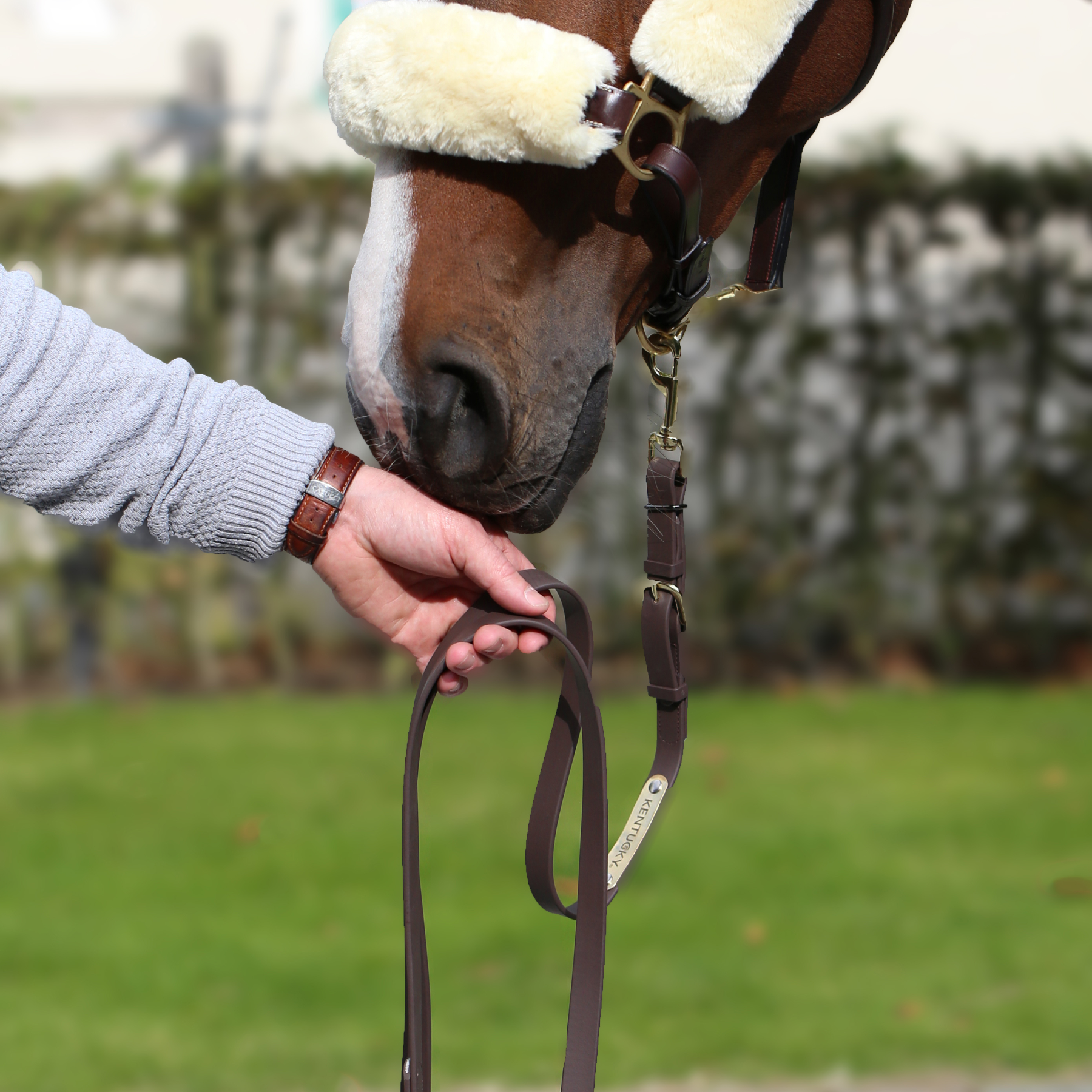 Kentucky Horsewear Presentation Lead