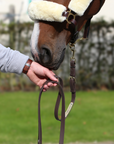 Kentucky Horsewear Presentation Lead