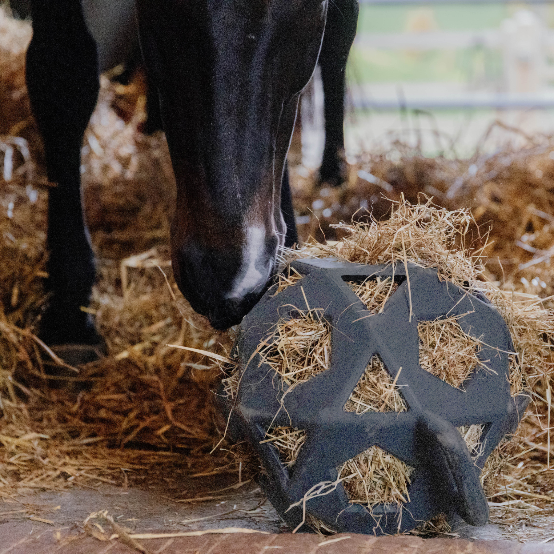 Kentucky Horsewear Relax Horse Play & Hay Ball, Gray