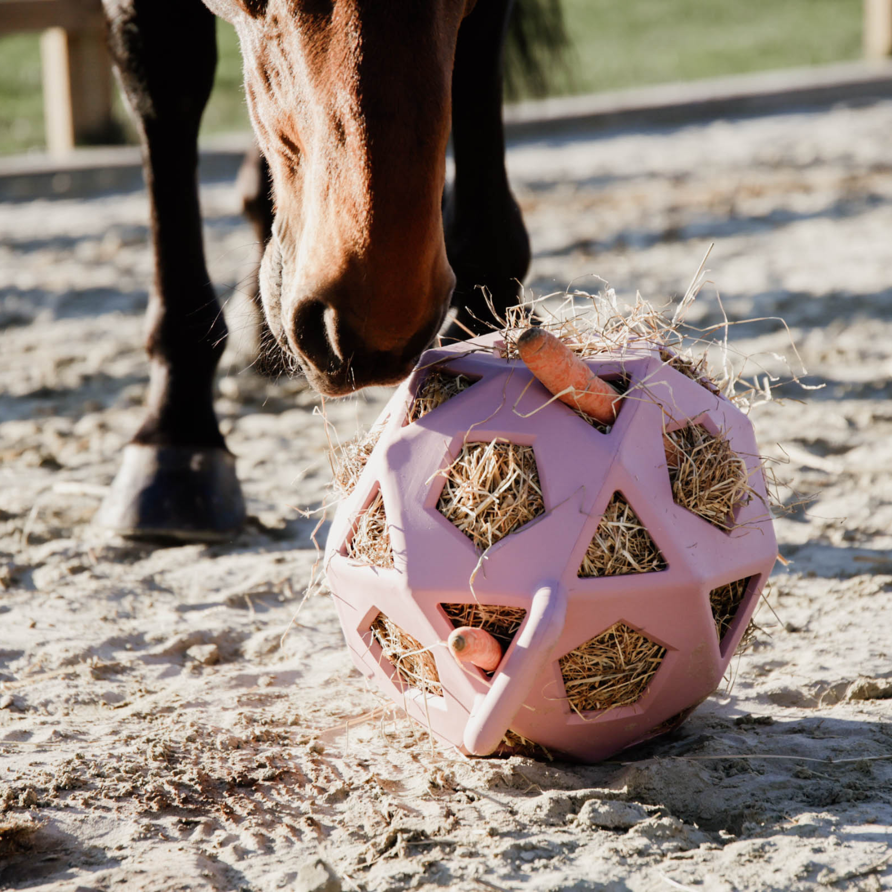 Kentucky Horsewear Relax Horse Play & Hay Ball, Old Rose