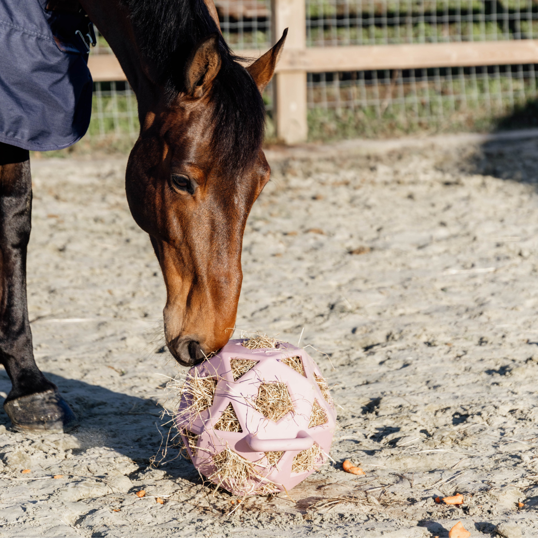 Kentucky Horsewear Relax Horse Play & Hay Ball, Old Rose