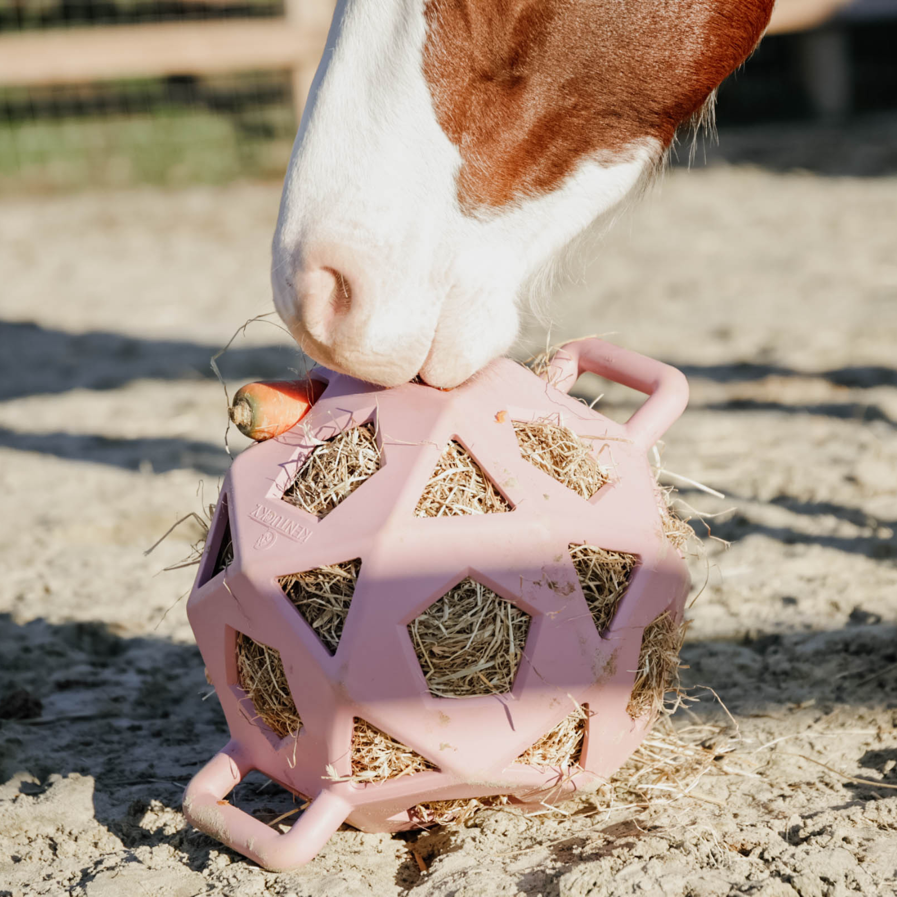 Kentucky Horsewear Relax Horse Play & Hay Ball, Old Rose