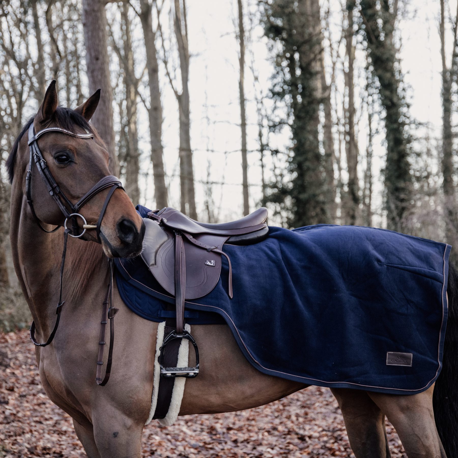 Kentucky Horsewear Riding Rug Heavy Fleece