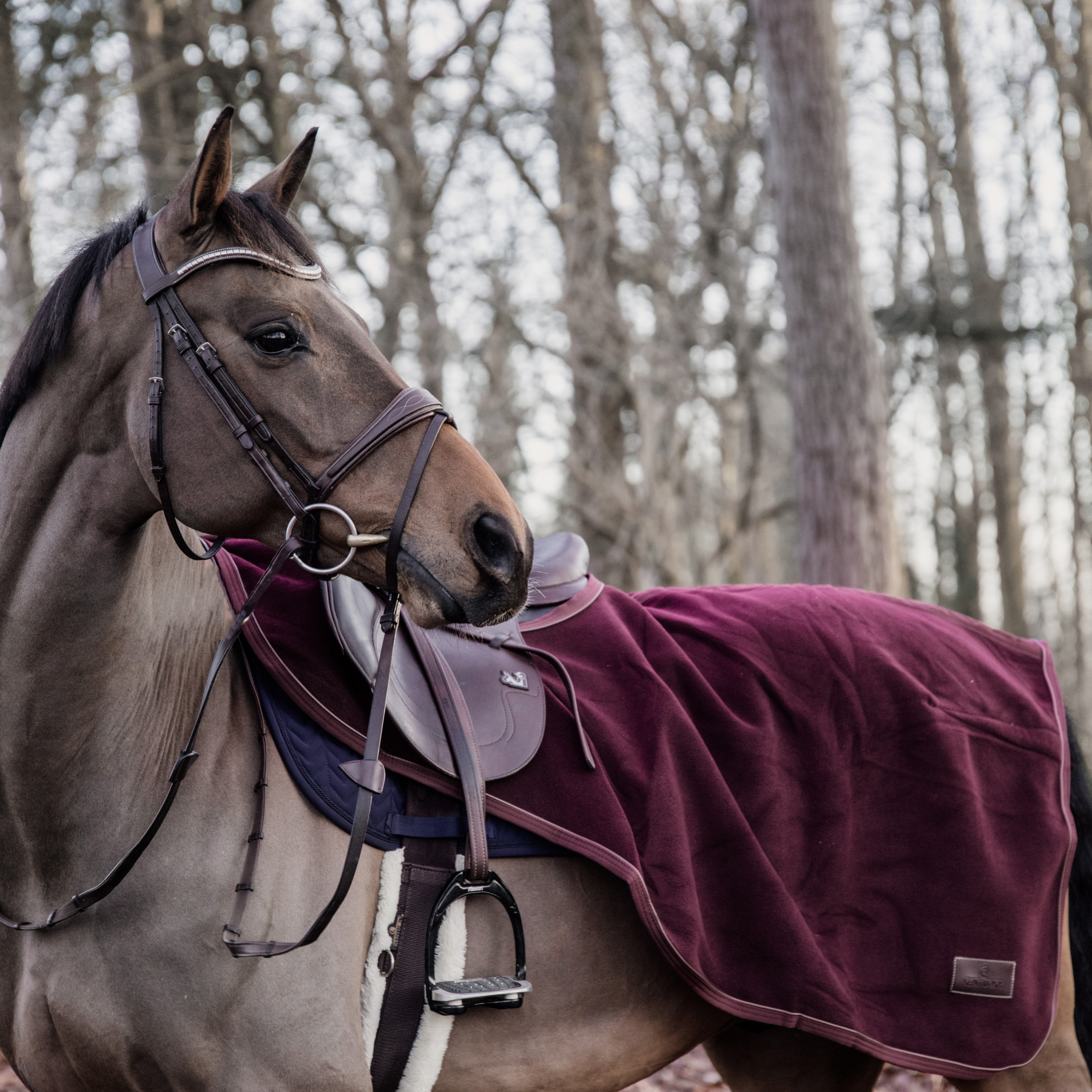 Kentucky Horsewear Riding Rug Heavy Fleece