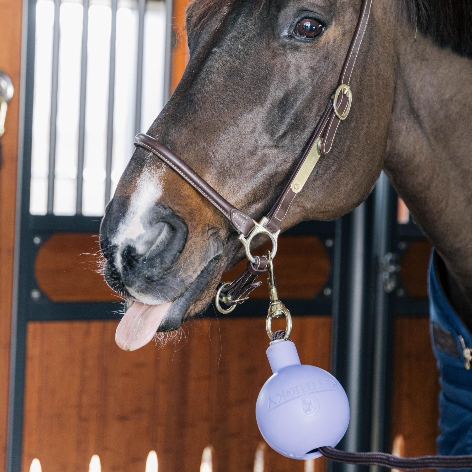 Kentucky Horsewear Rubber ball Protection for Wall and Lead, Lavender