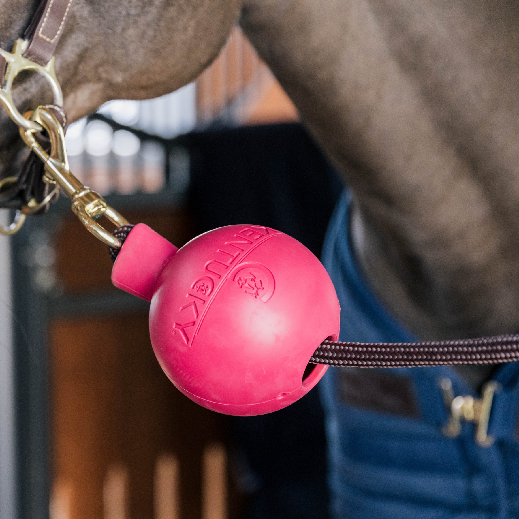 Kentucky Horsewear Rubber ball Protection for Wall and Lead, Pink