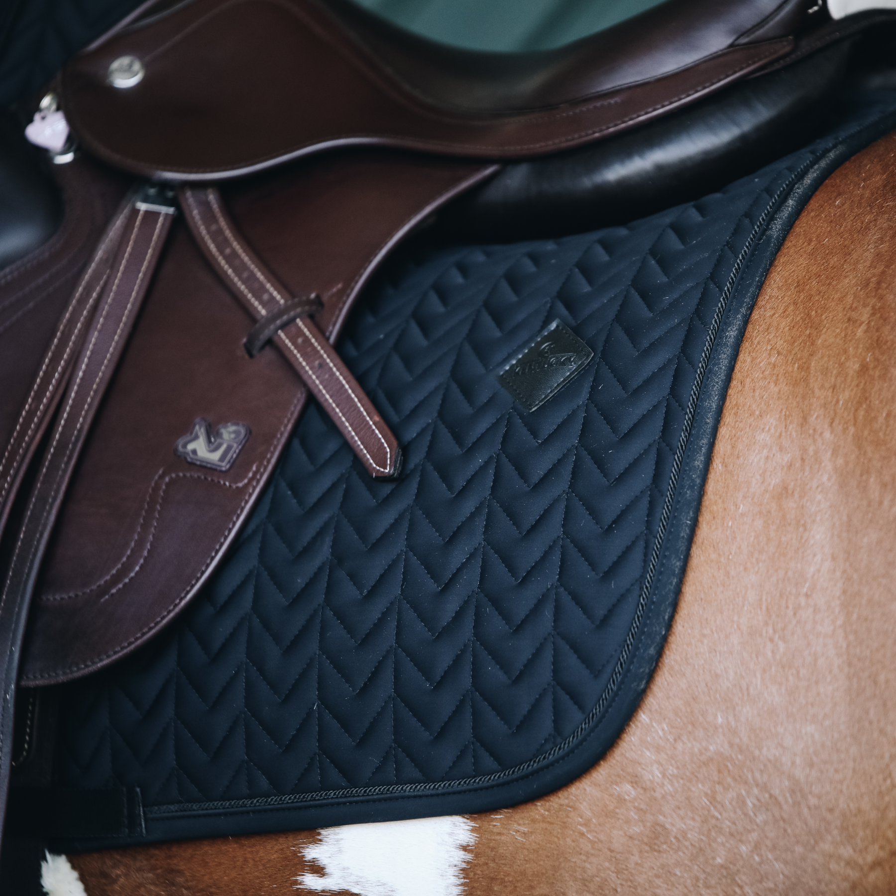 Kentucky Horsewear Saddle Pad Fishbone Jumping Black Edition