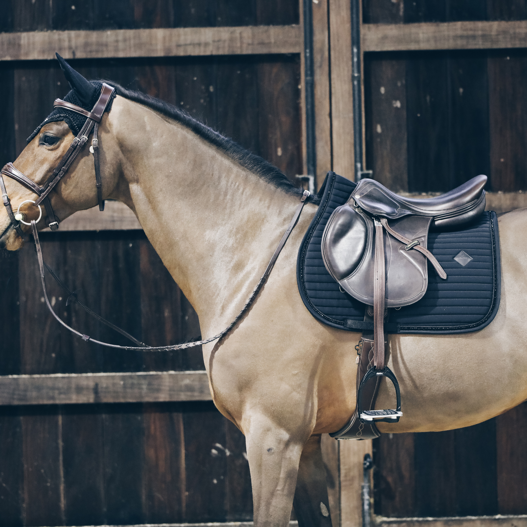Kentucky Horsewear Saddle Pad Pearls Jumping Black Edition