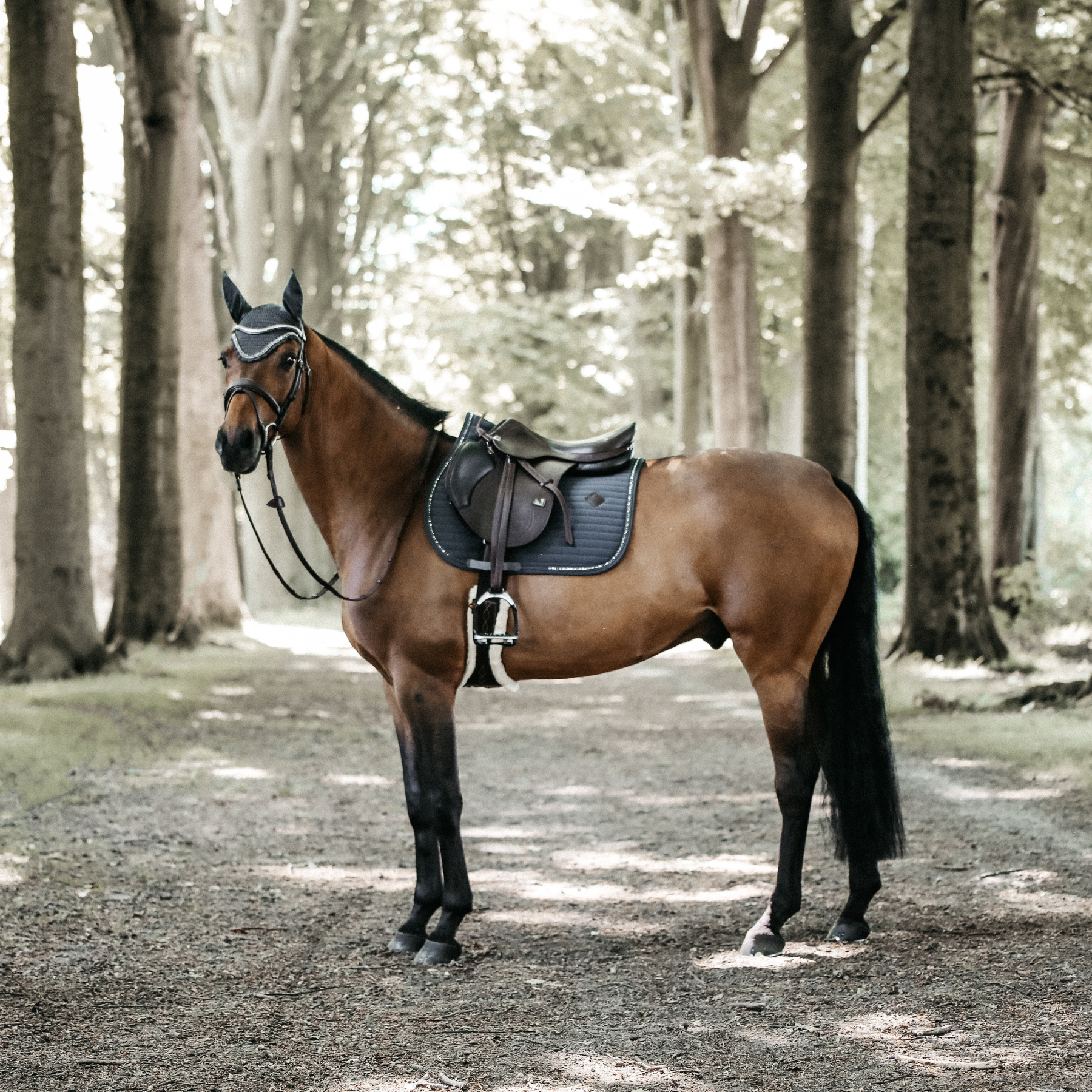 Kentucky Horsewear Saddle Pad Pearls Jumping Grey Edition