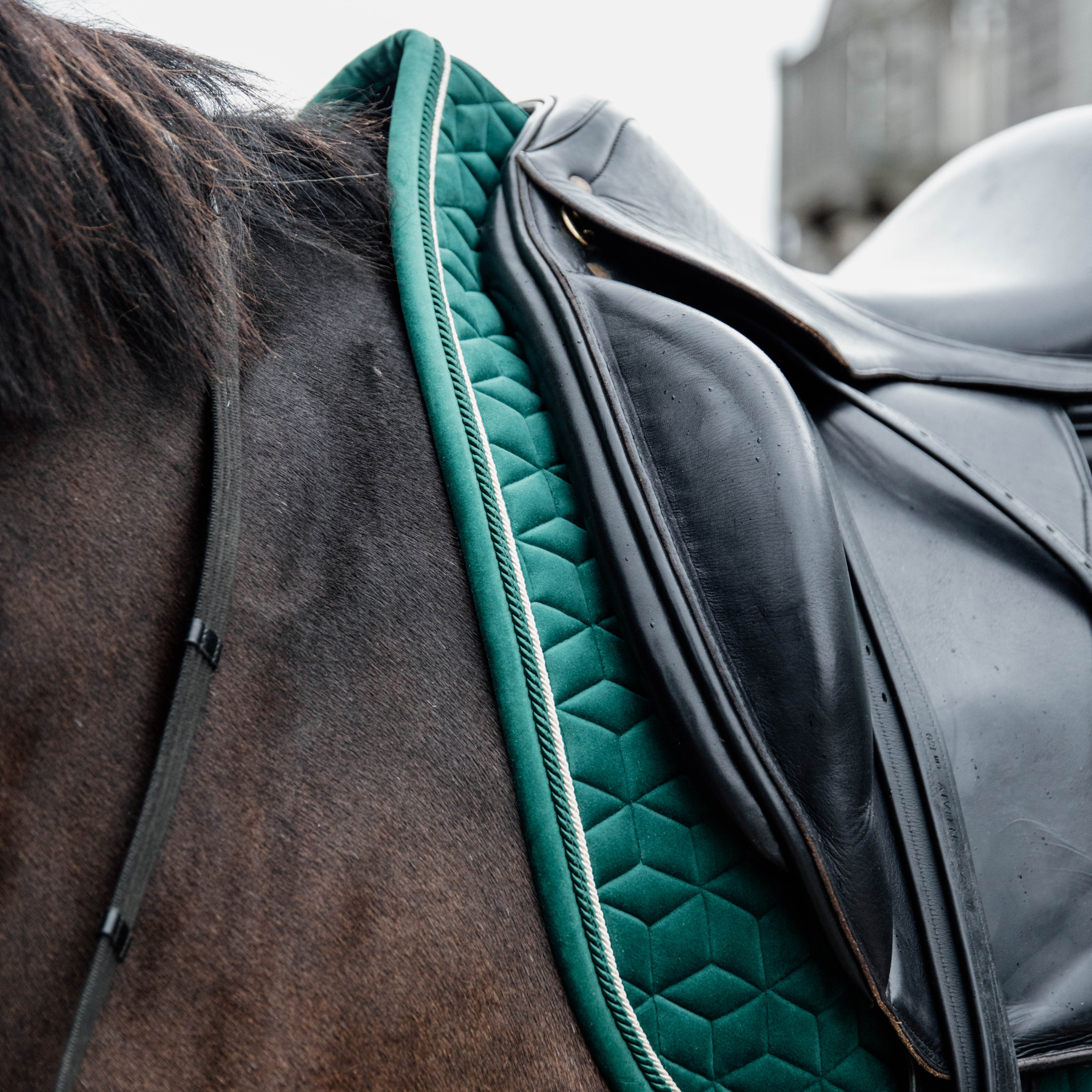 Kentucky Horsewear Saddle Pad Velvet Dressage Dark Green Edition