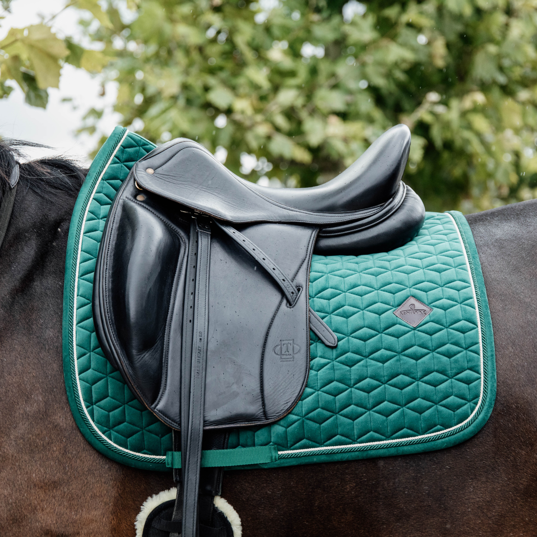Kentucky Horsewear Saddle Pad Velvet Dressage Dark Green Edition