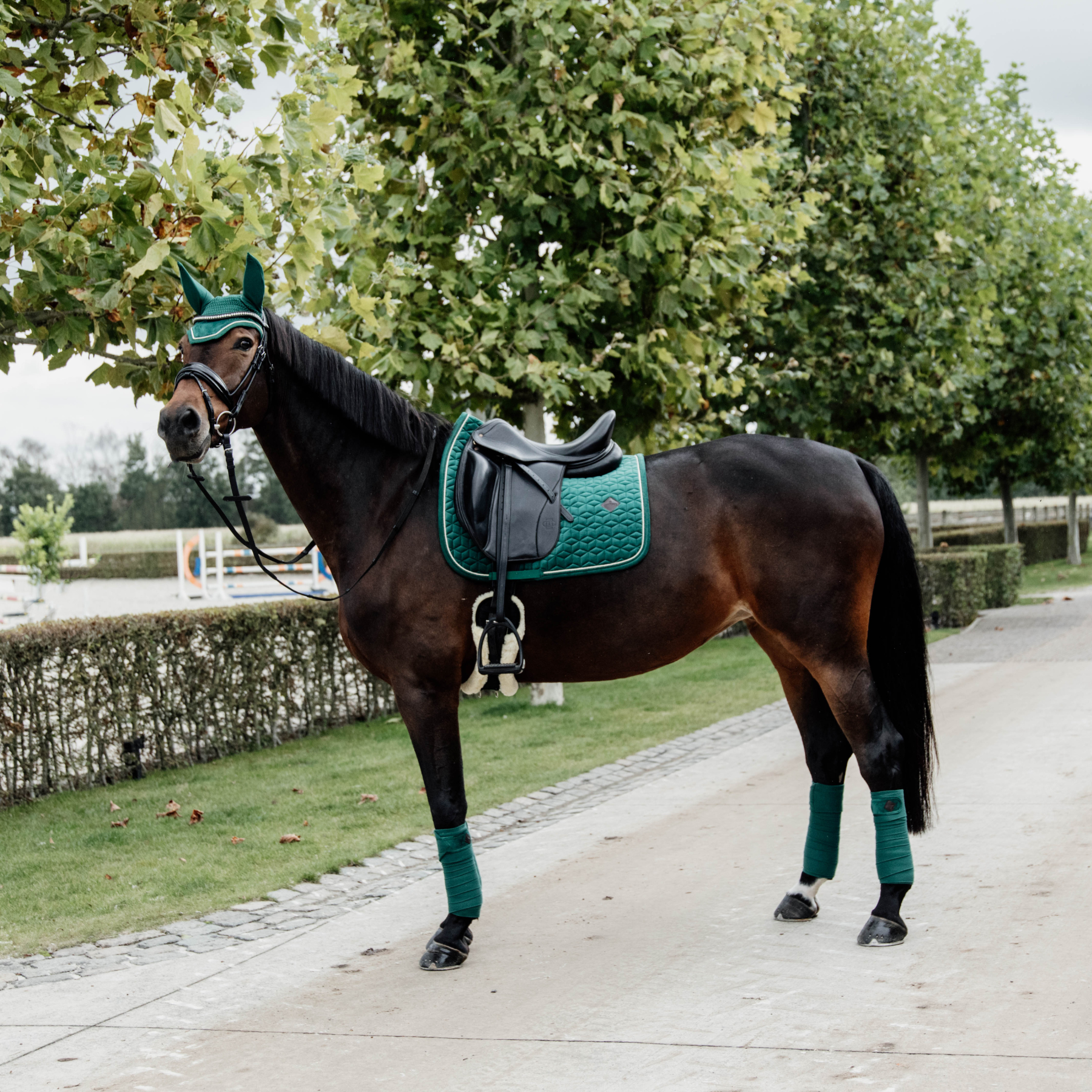 Kentucky Horsewear Saddle Pad Velvet Dressage Dark Green Edition
