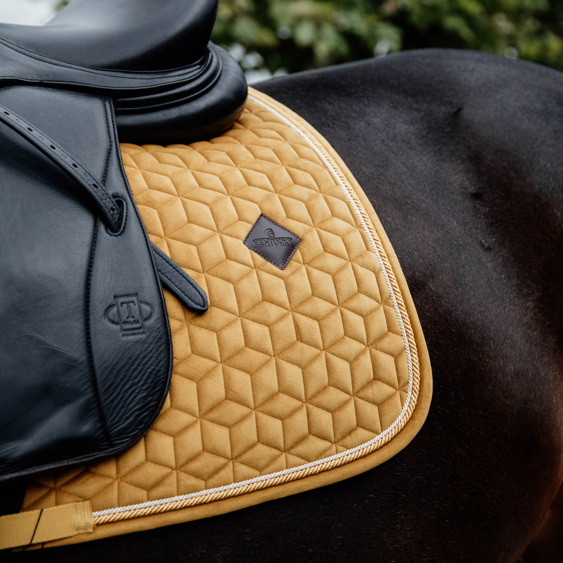 Kentucky Horsewear Saddle Pad Velvet Dressage Mustard Edition
